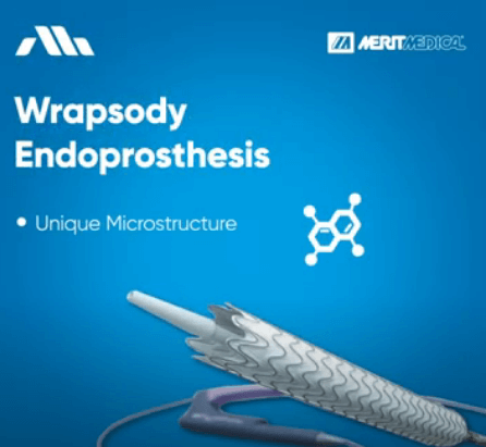 Merit WRAPSODY Endoprothesis